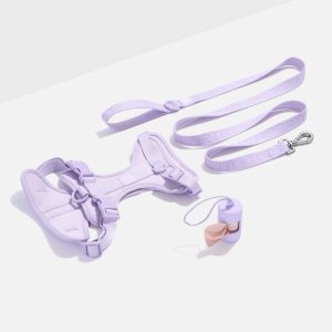 Wild One Cushioned Harness + Lightweight Leash Walk Kit