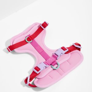 Wild One Cushioned Dog Harness