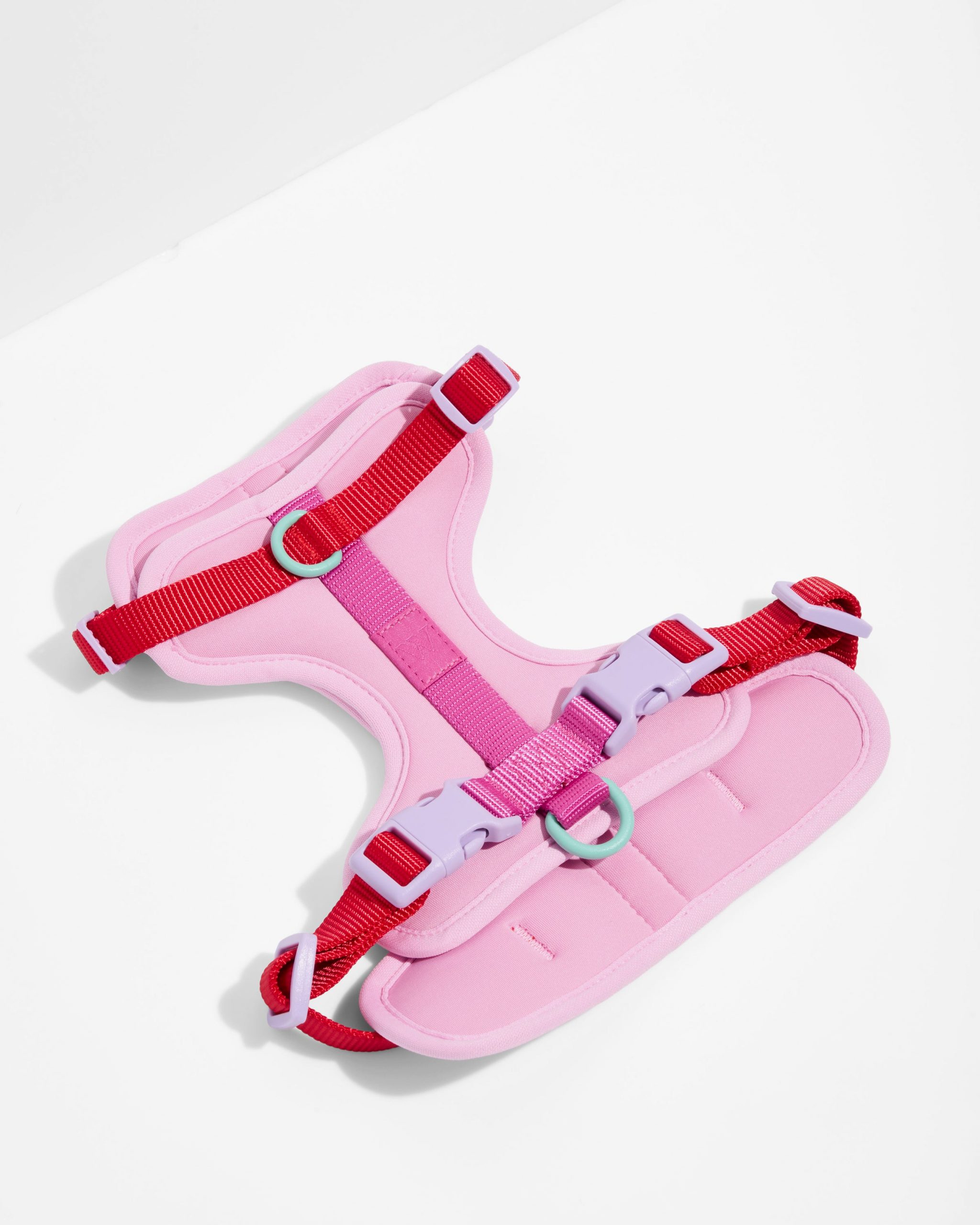 Wild One Cushioned Dog Harness