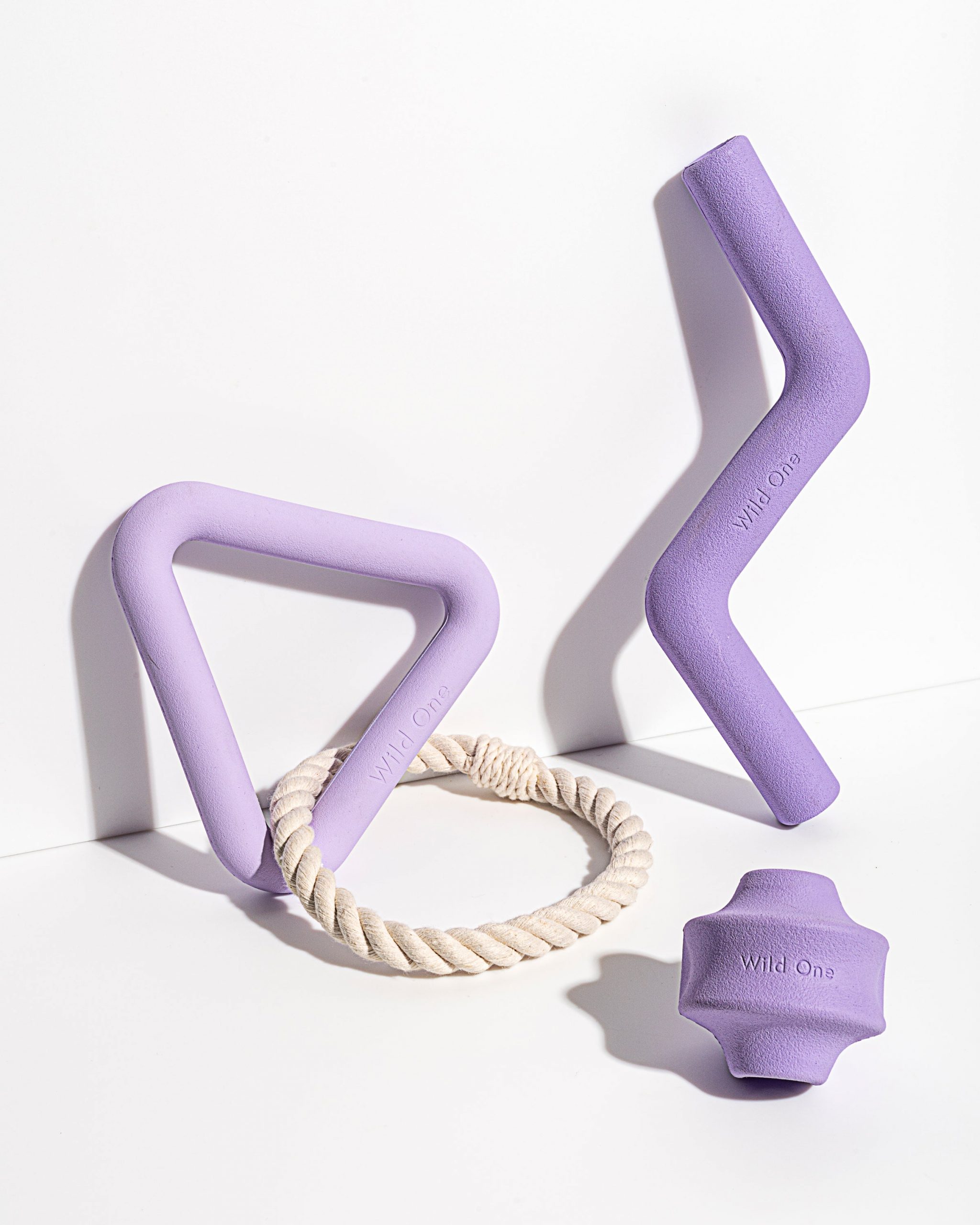 Wild One Dog Toy Kit