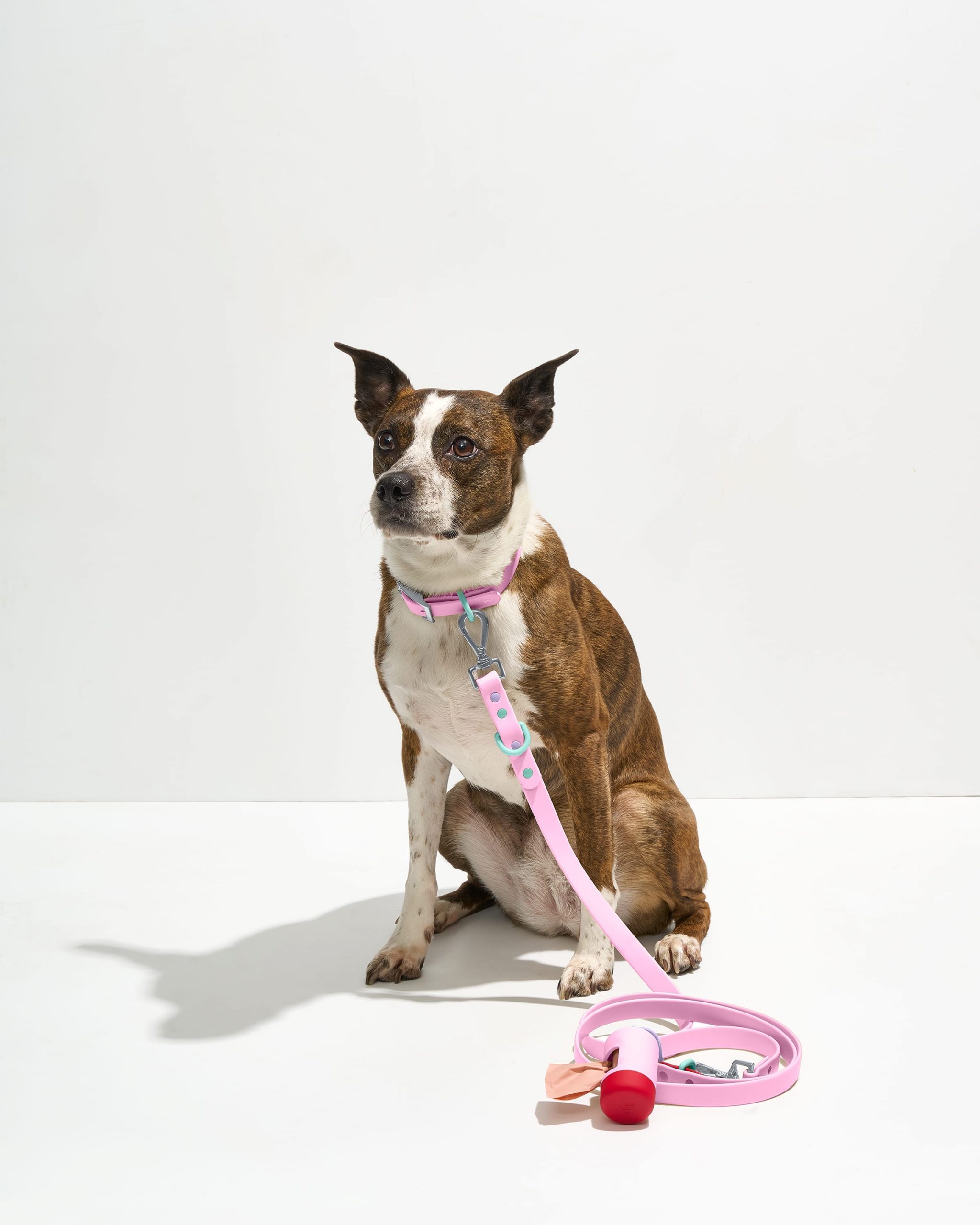 Wild One Waterproof Collar + Waterproof Leash Walk Kit