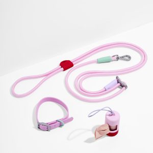 Wild One Waterproof Collar + Hands-Free Rope Leash Walk Kit