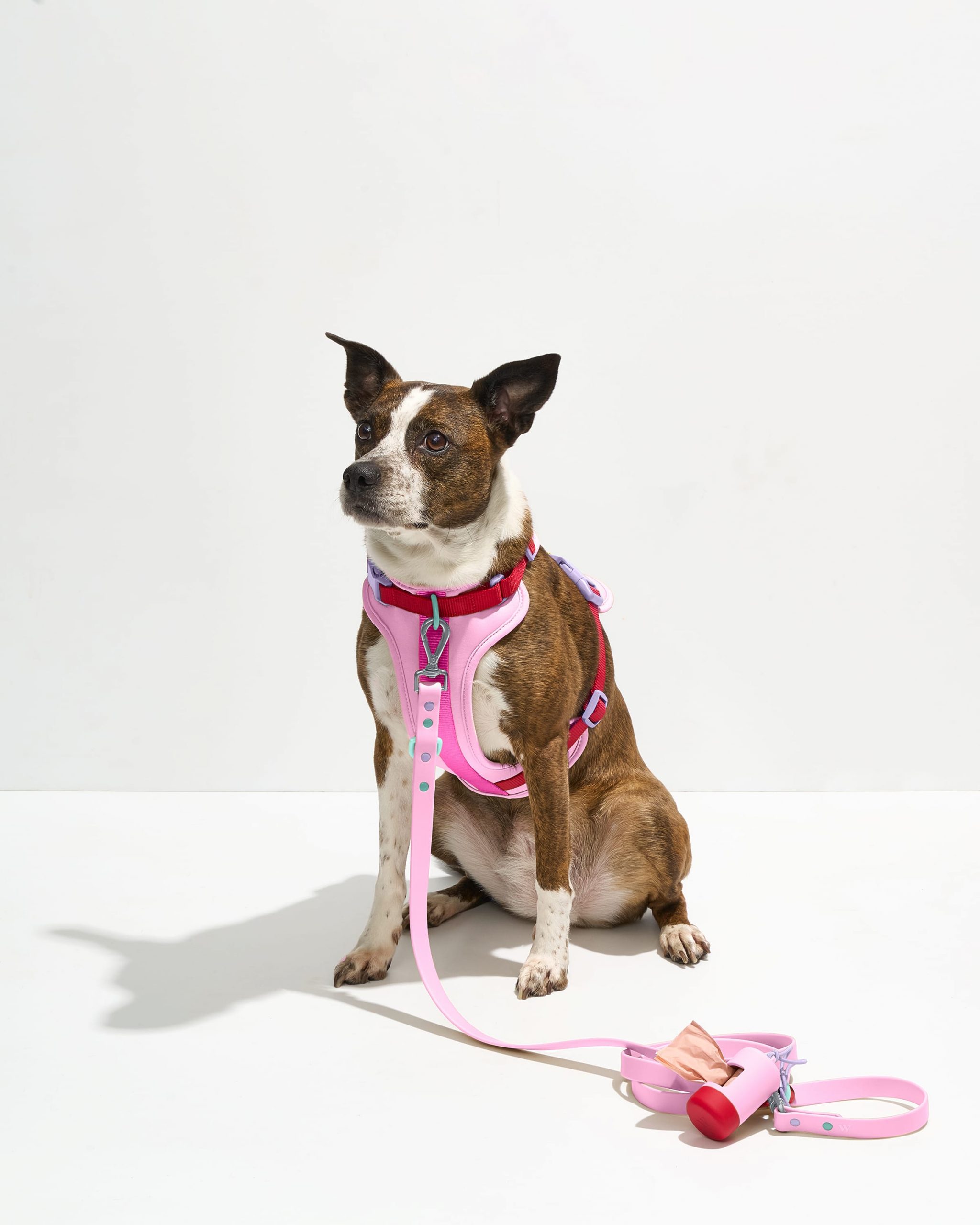 Wild One Cushioned Harness + Waterproof Leash Walk Kit