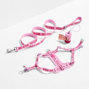 Wild One Step-In Harness + Lightweight Leash Walk Kit