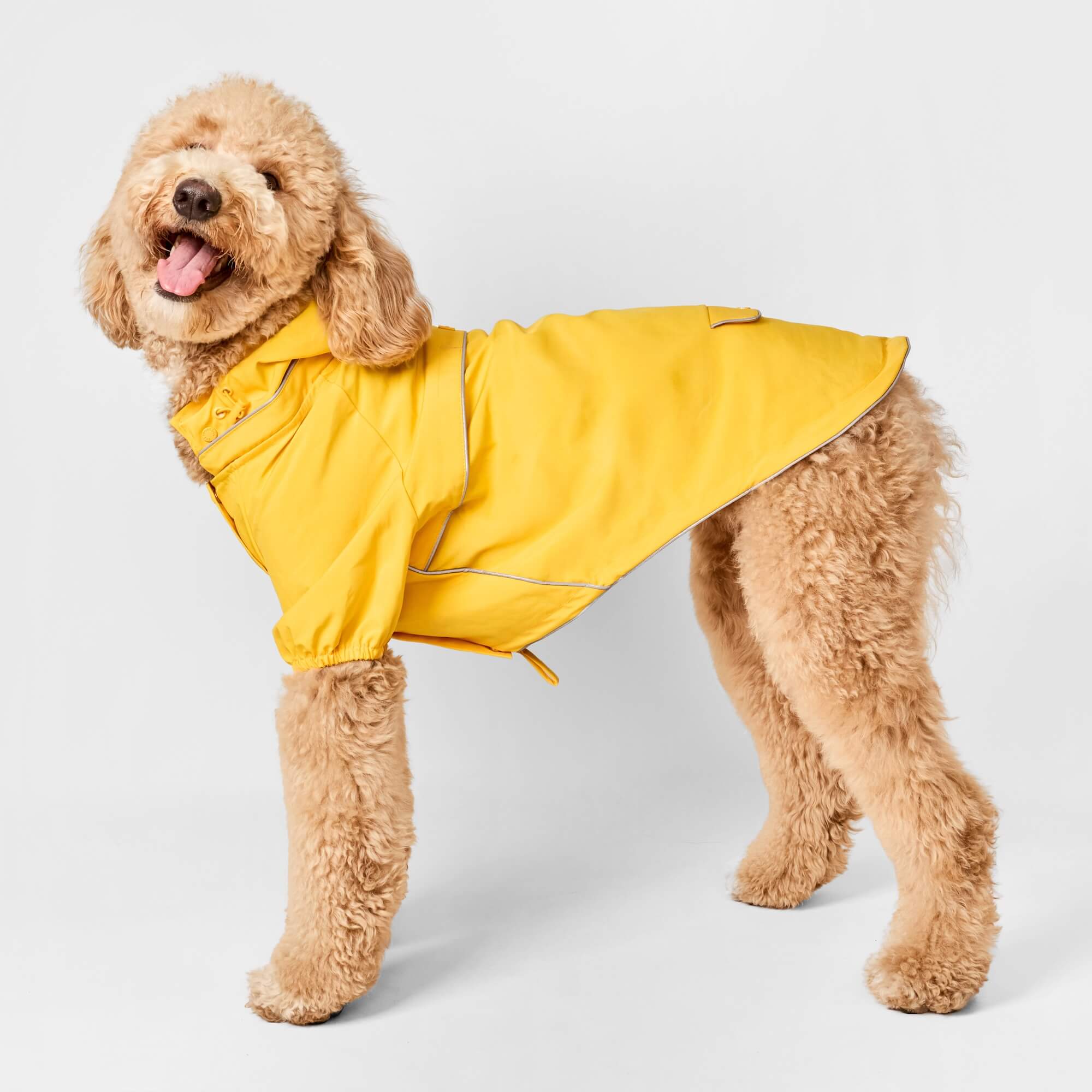 The Foggy Dog Bright Yellow Reflective Dog Raincoat