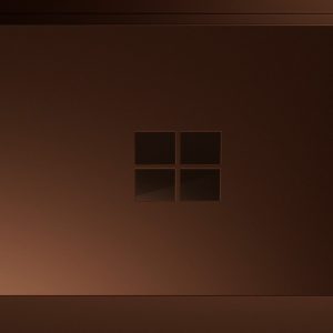 Microsoft Surface Pro 12