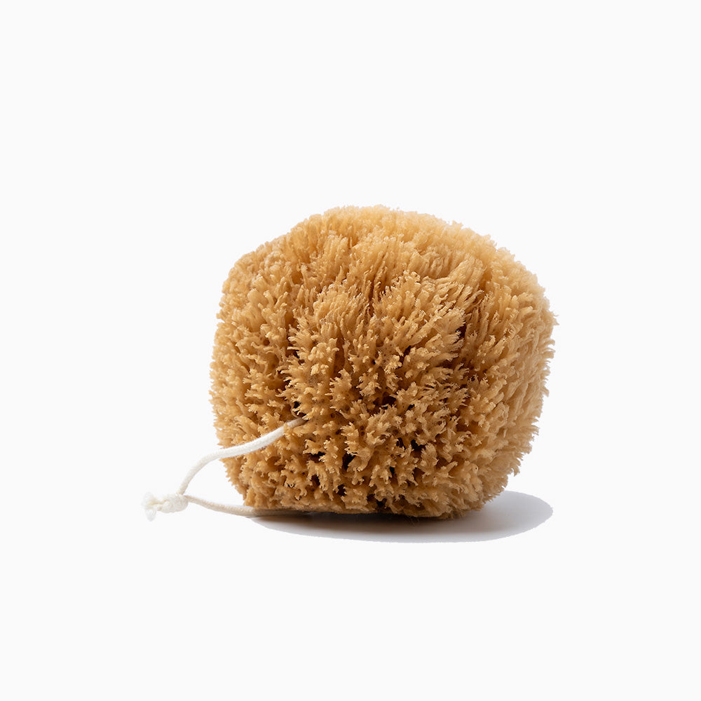 Public Goods Natural Grass Sea Sponge