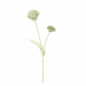Polene Paris Fleur Tul - Aloe
