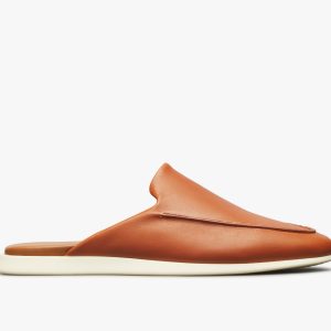 Wolfandshepherd Coast Mule