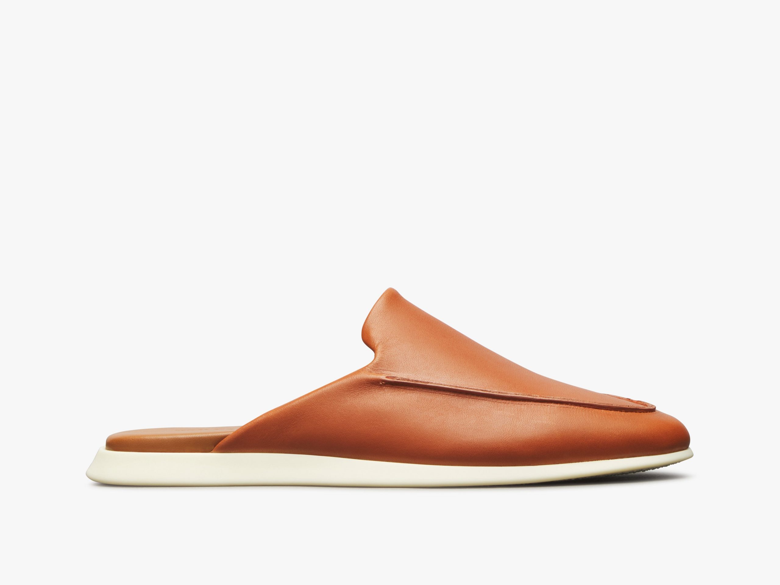 Wolfandshepherd Coast Mule
