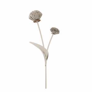 Polene Paris Fleur Tul - Craie