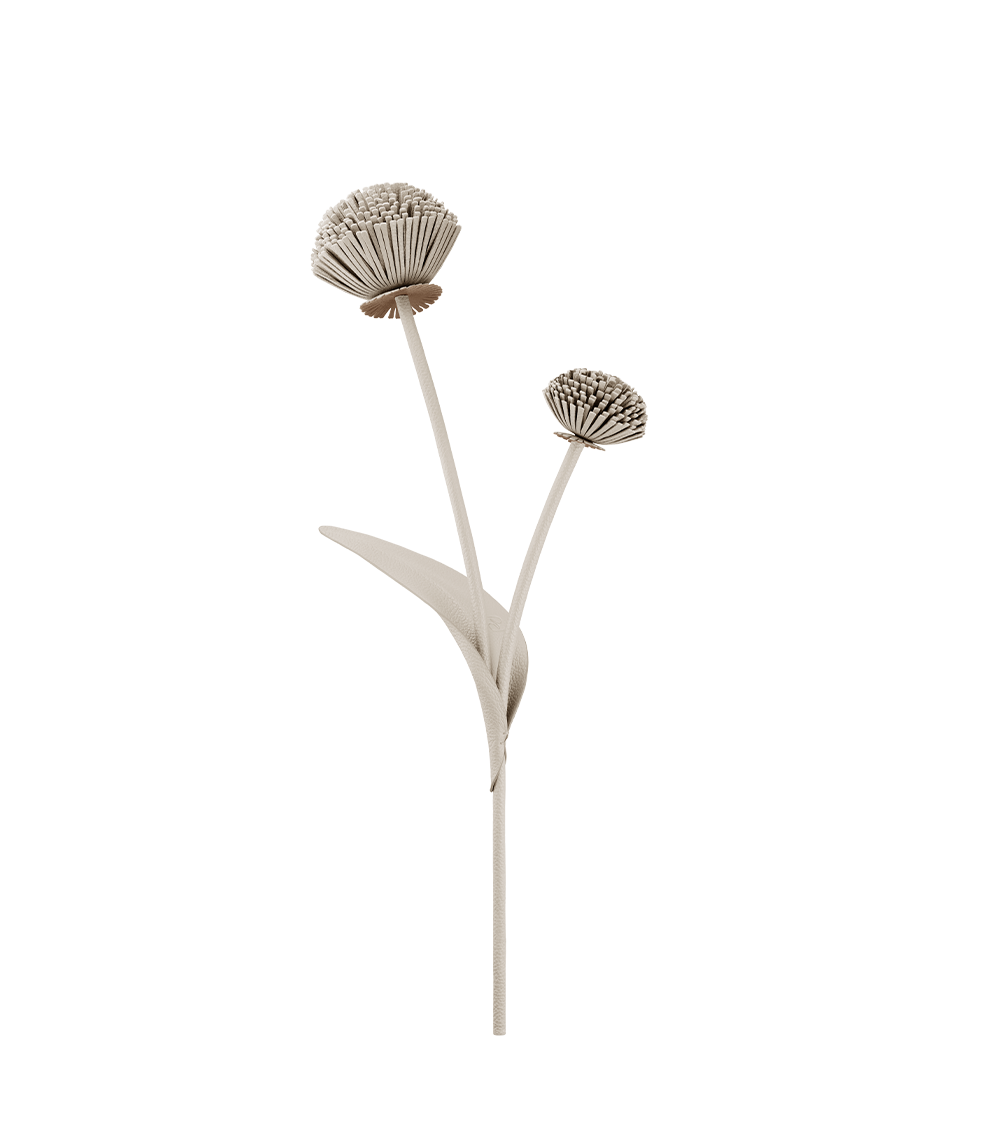 Polene Paris Fleur Tul - Craie