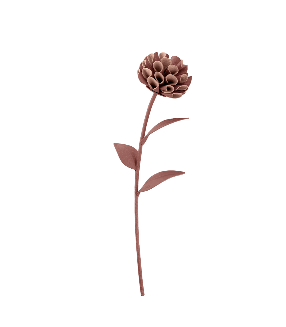 Polene Paris Fleur Dalium - Blush