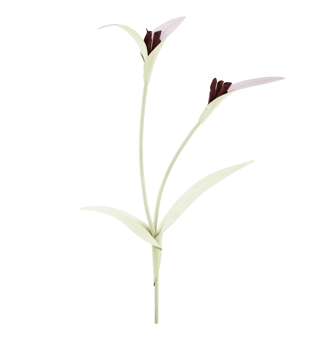 Polene Paris Fleur Touka - Aloe
