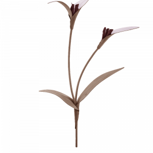 Polene Paris Fleur Touka - Racine