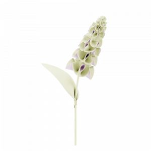 Polene Paris Fleur Orki - Aloe
