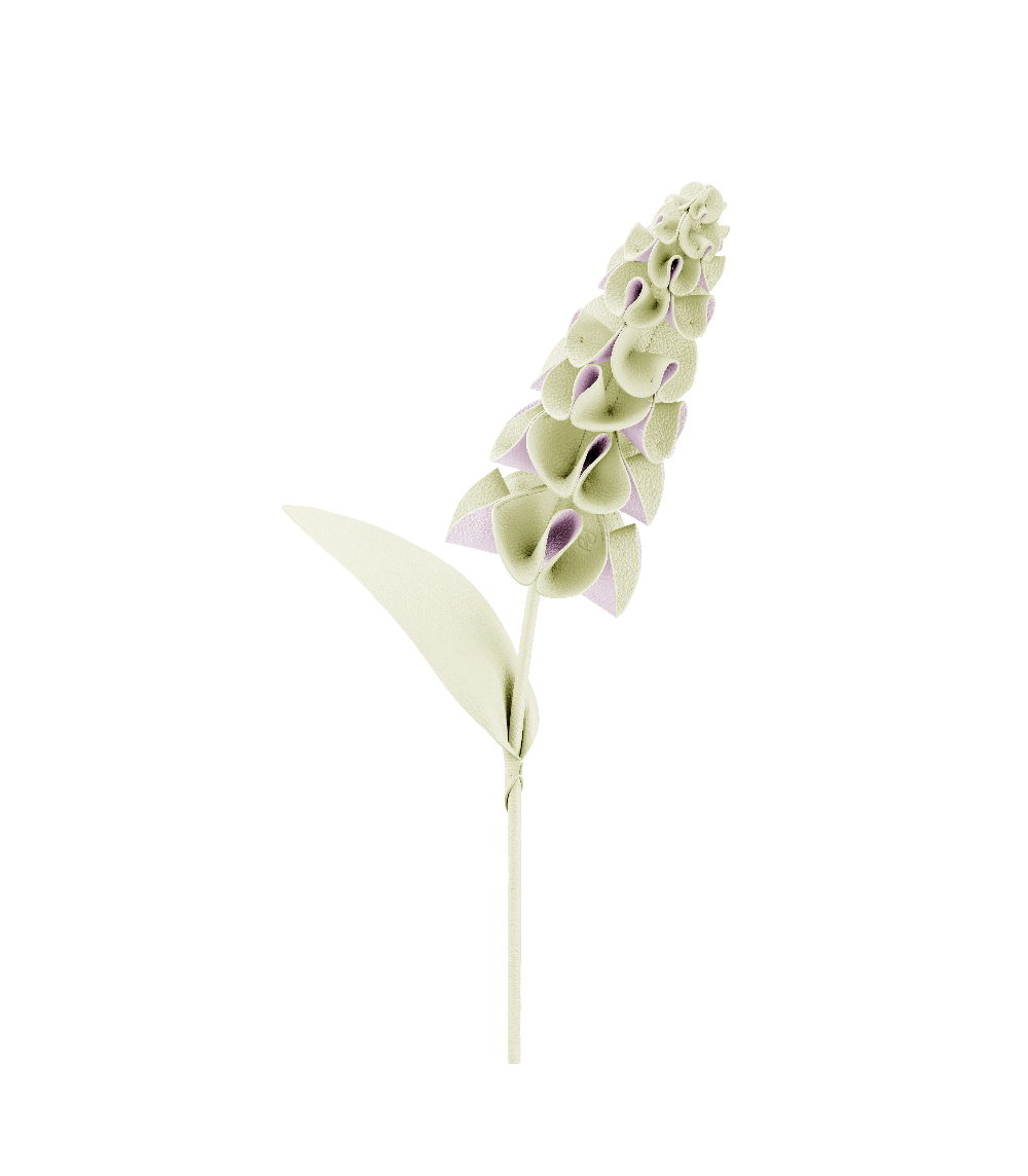 Polene Paris Fleur Orki - Aloe