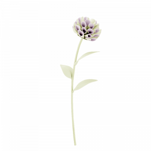 Polene Paris Fleur Dalium - Aloe