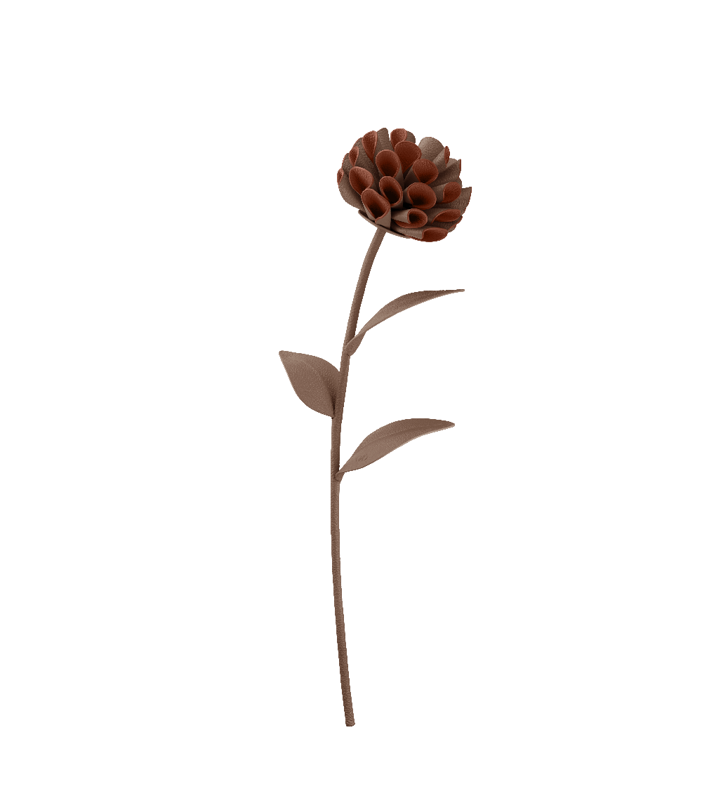 Polene Paris Fleur Dalium - Racine