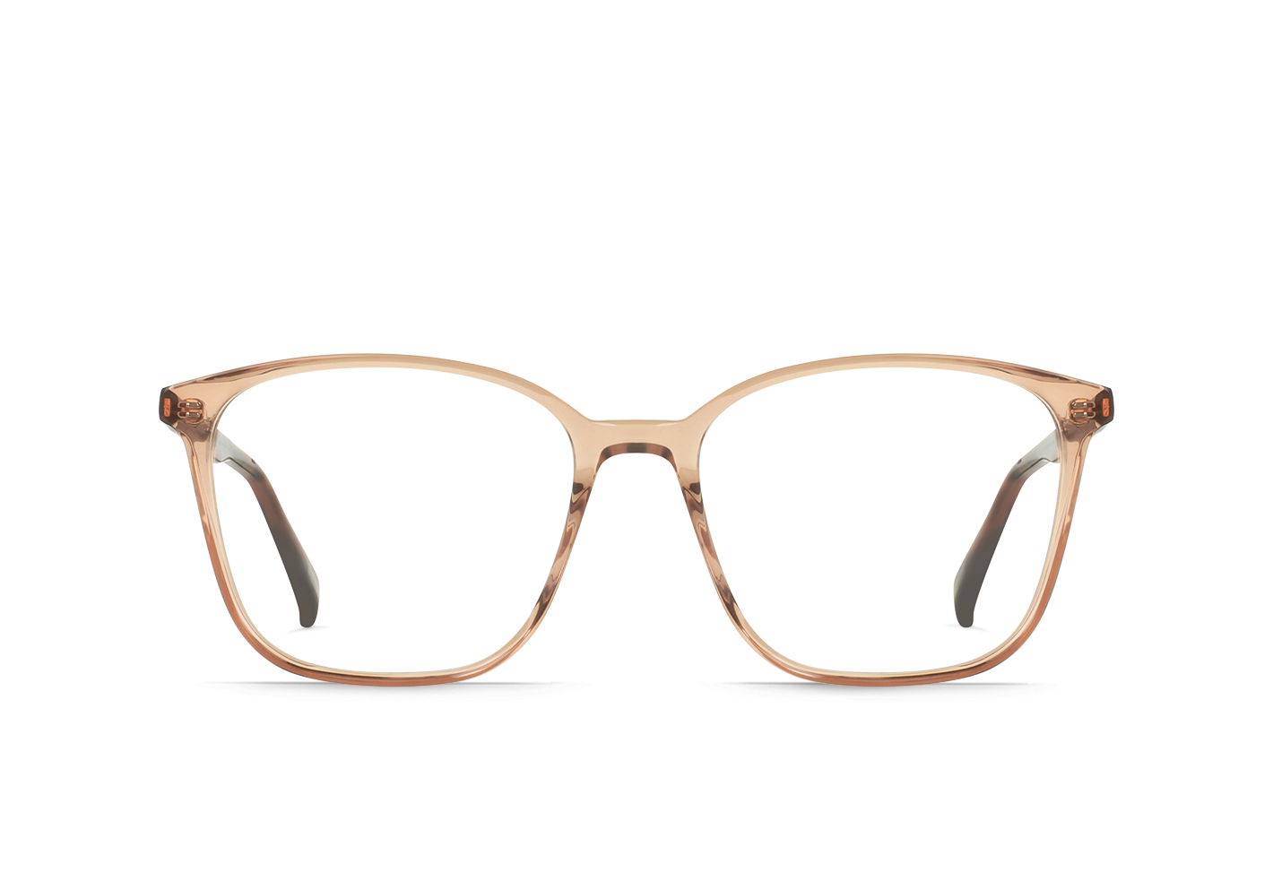 RAEN Neese-Diamond + Almond Tortoise / Clear-56